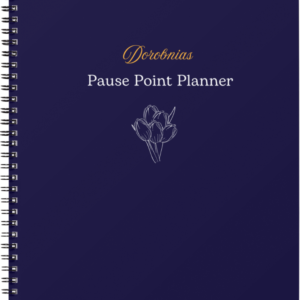 Sổ hiệu năng Pause Point Planner Xanh Navy